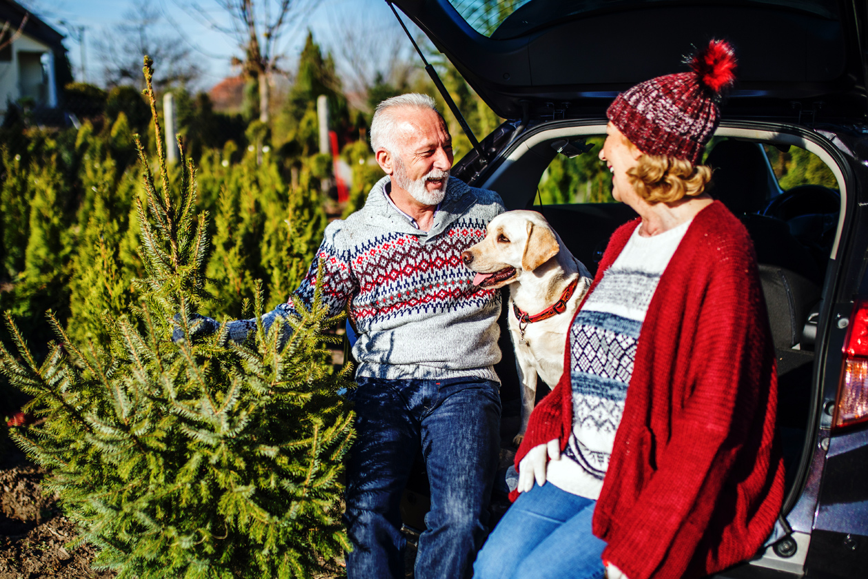 5 Tips to Make Getting Your Christmas Tree Stress-Free