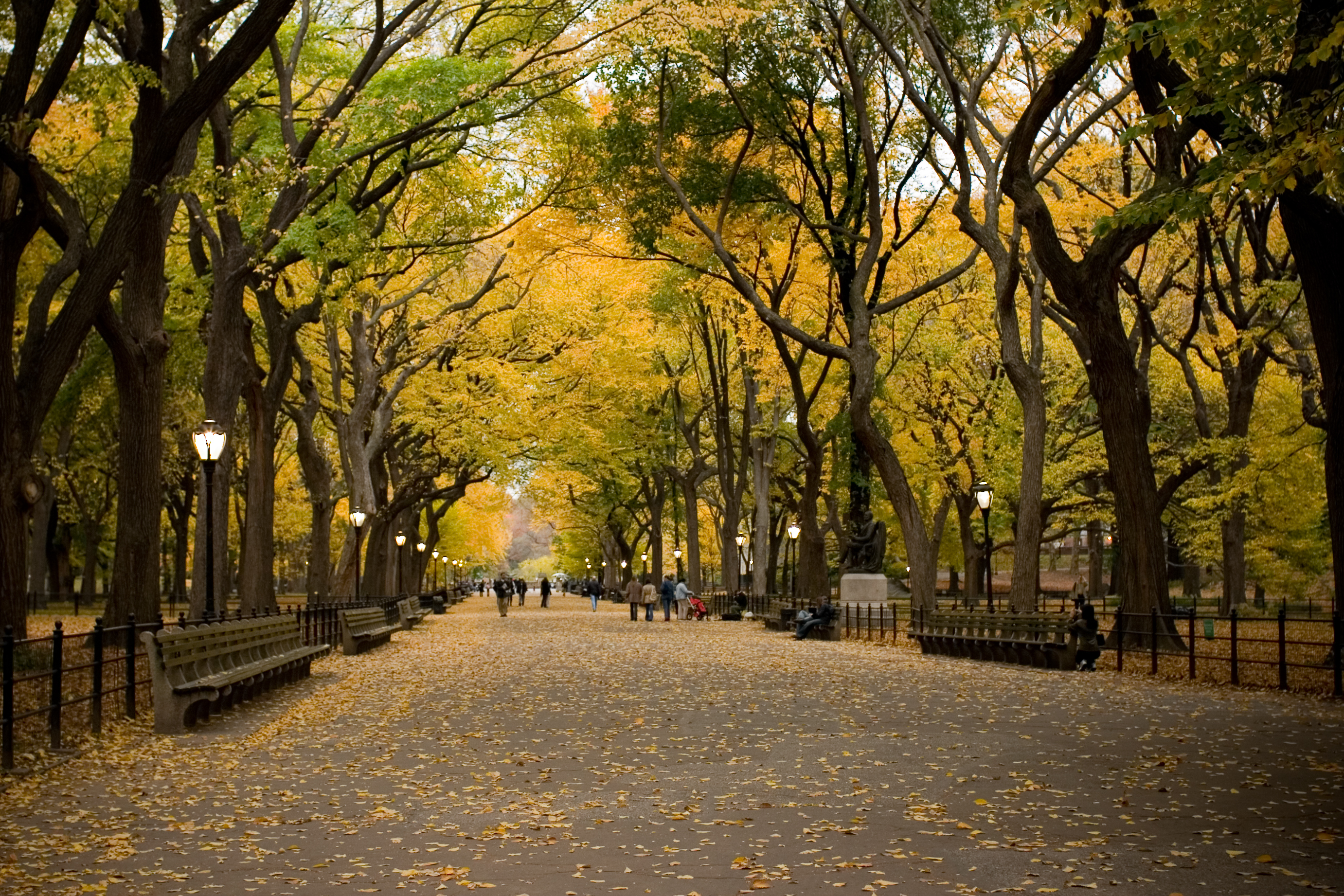 Central Park - Senior Trip to New York